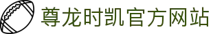 Z6·尊龙时凯「中国区」-Delight the World